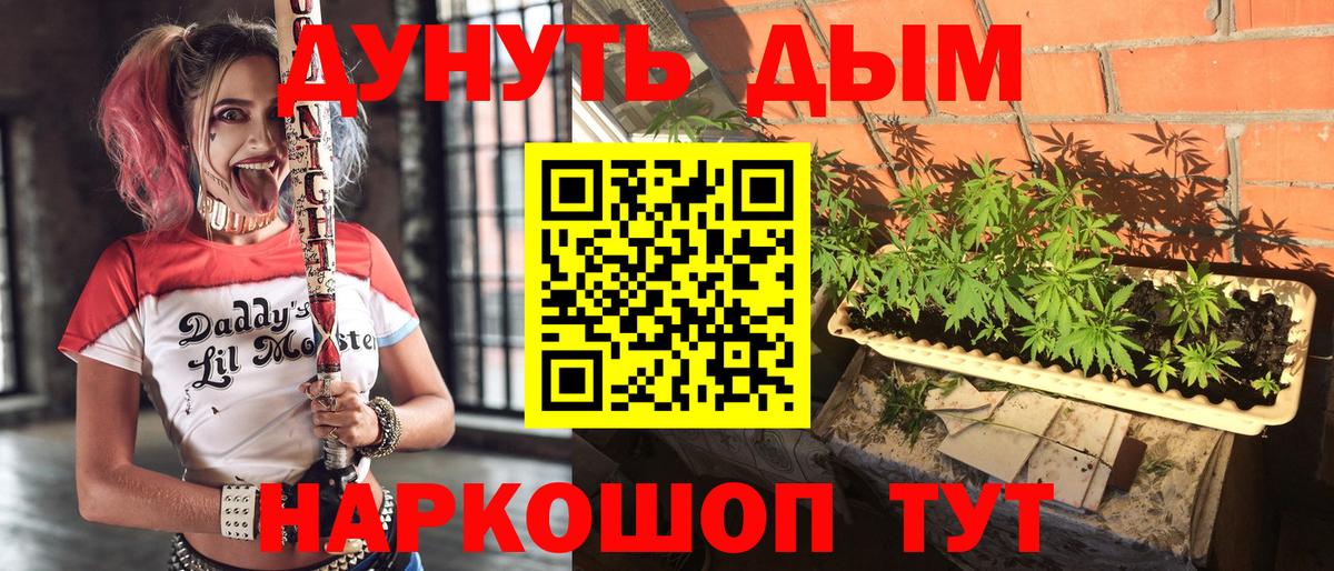Канабис White Widow Россия